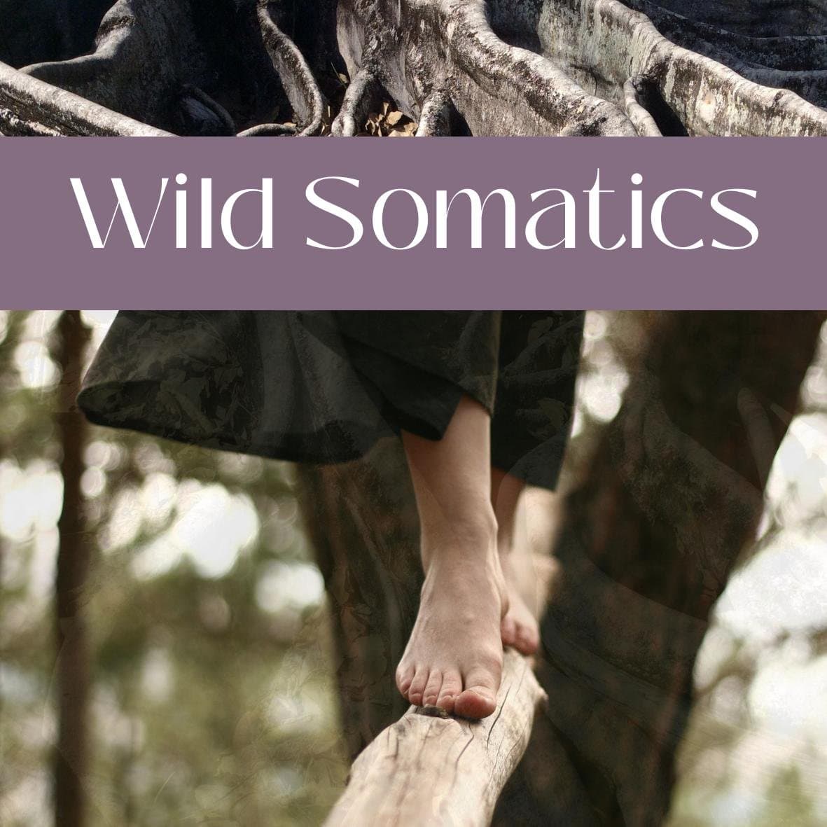 Wild Somatics - Herbstserie