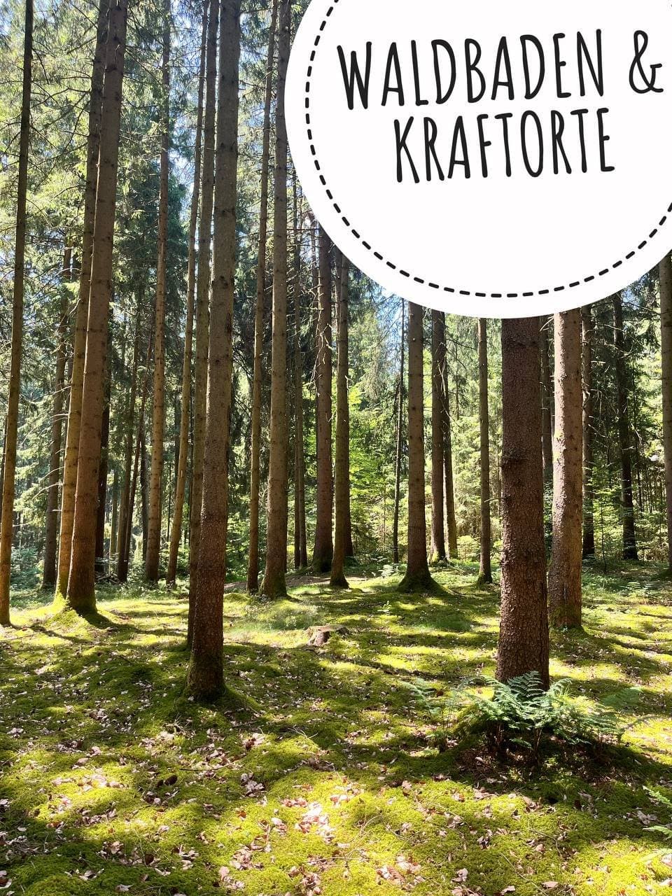 Waldbaden & Kraftorte