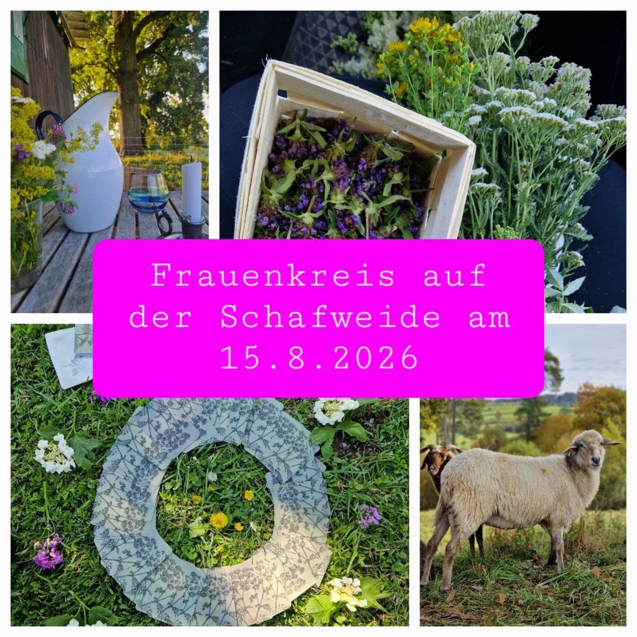 Frauenkreis in der Natur