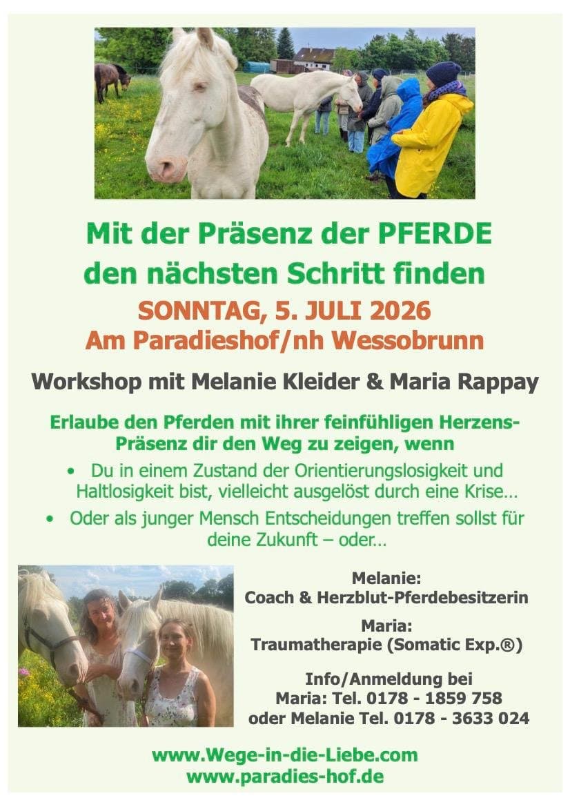 Mit Pferden Orientierung finden