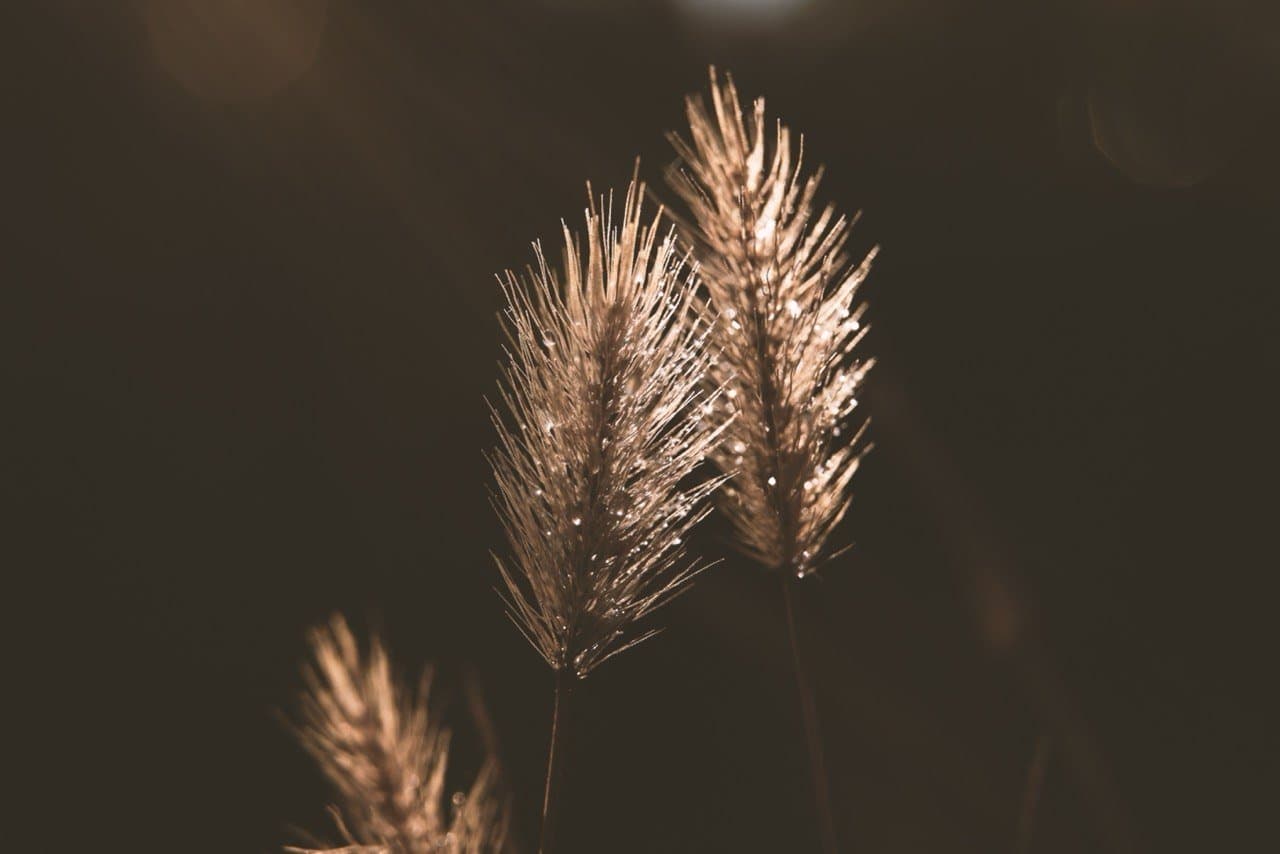 Paarworkshop – Verbindung & Begegnung