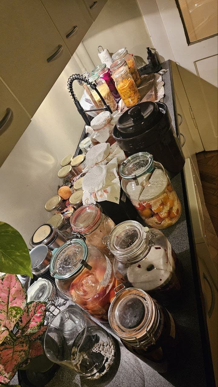 Fermentation Workshop