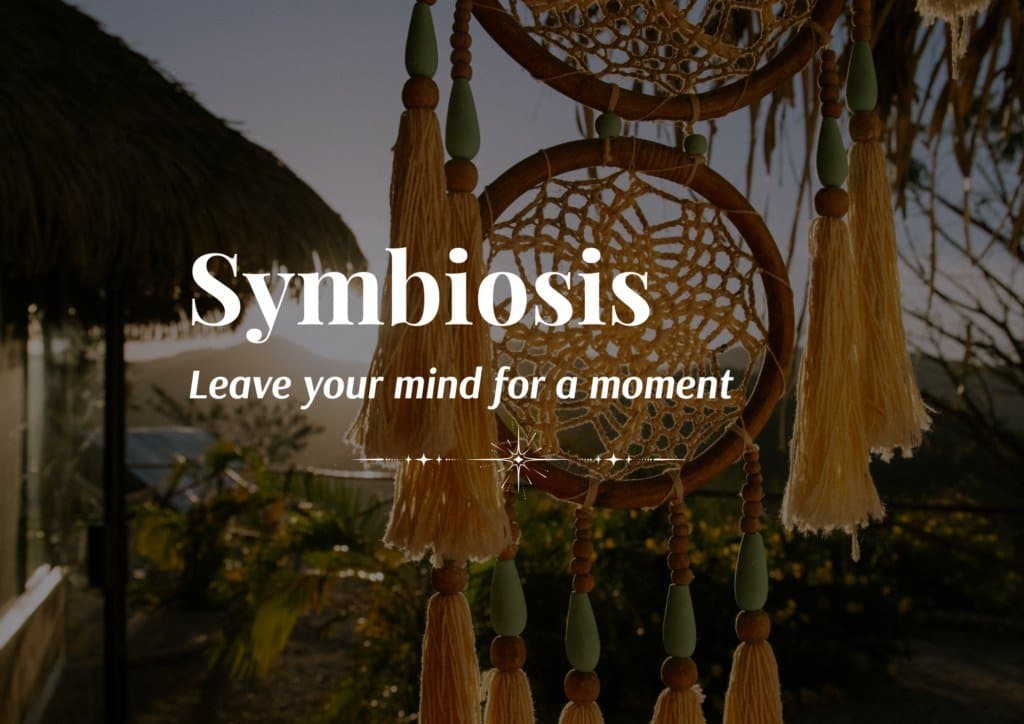 SYMBIOSIS – Cacao, Breathwork & Live Music in Gmund am Tegernsee