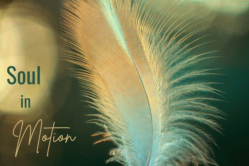 Soul in Motion - Tanzabend