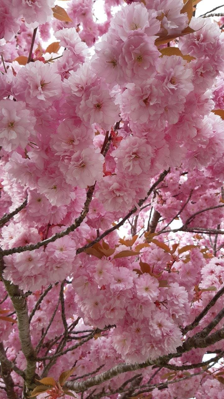 Singkreis mit Meditation