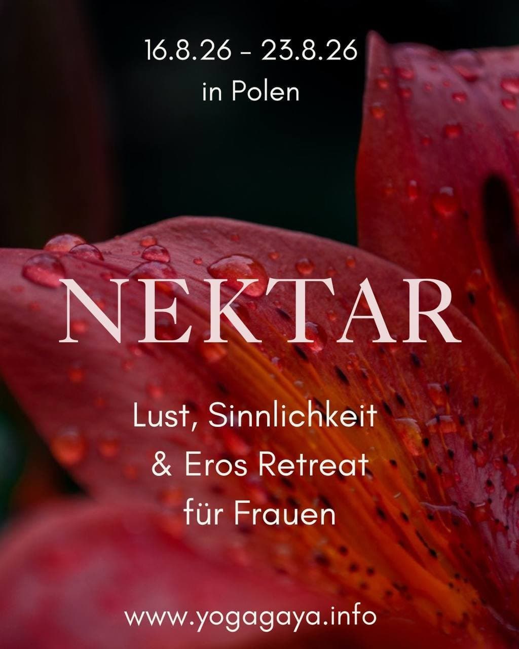 Nektar Pleasure Portal Retreat