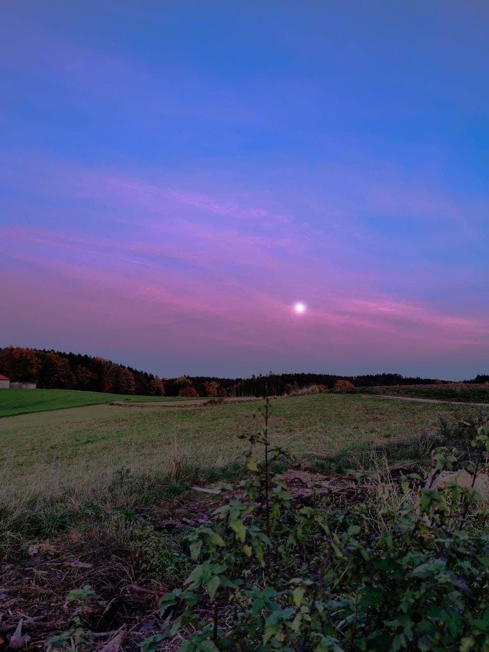 Sommerabend Meditation in der Natur