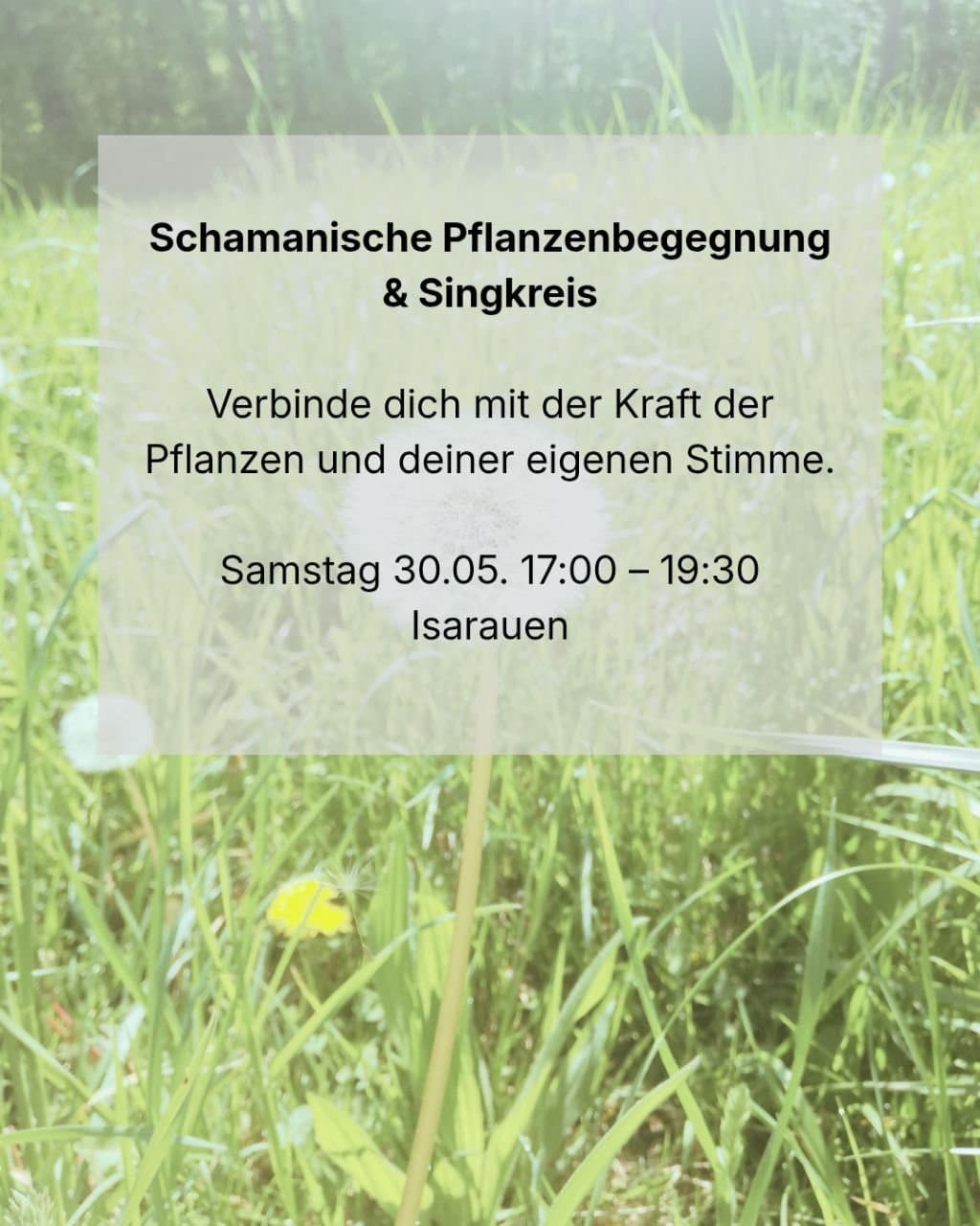 Pflanzenmagie Abend