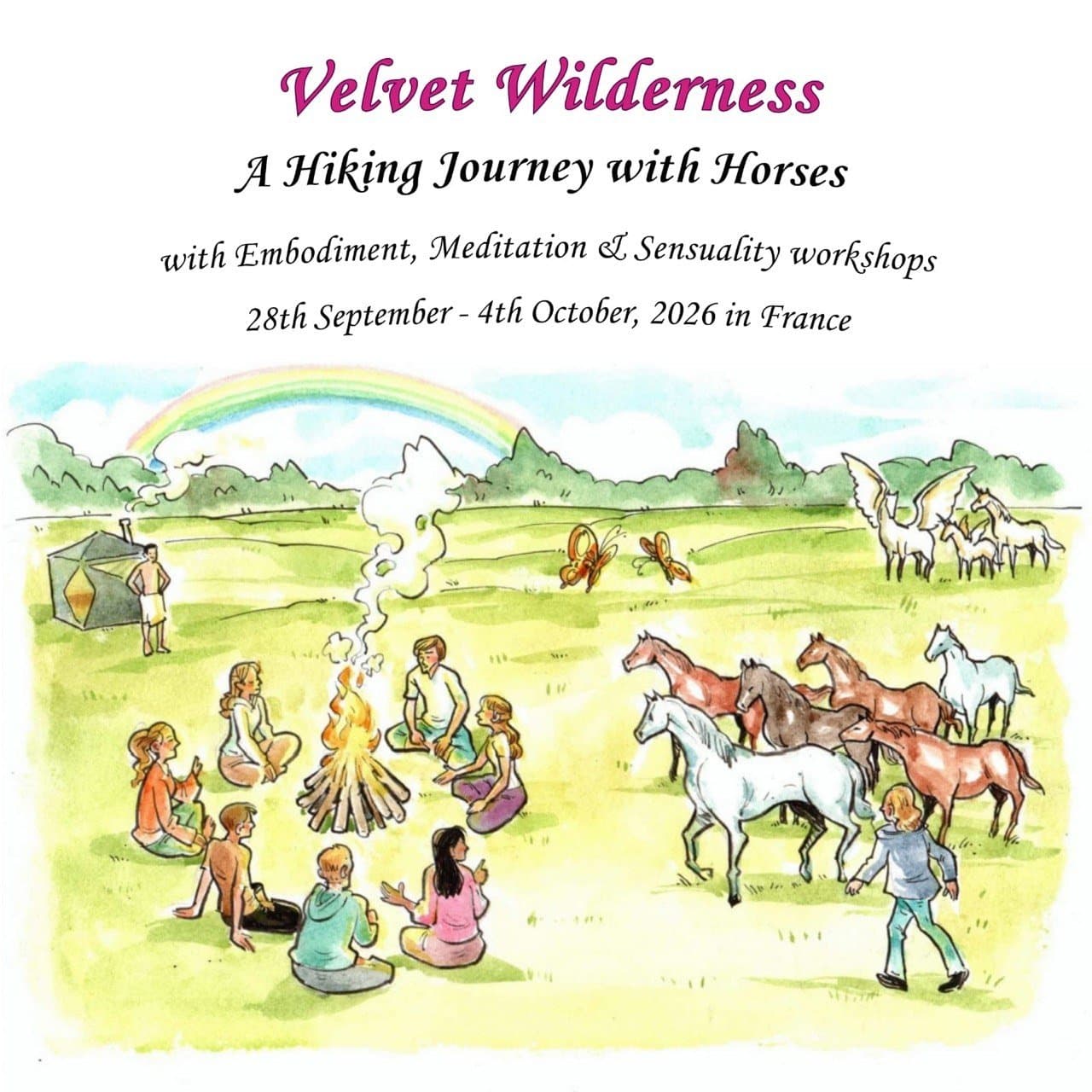 Velvet Wilderness - A Hiking Journey with Horses