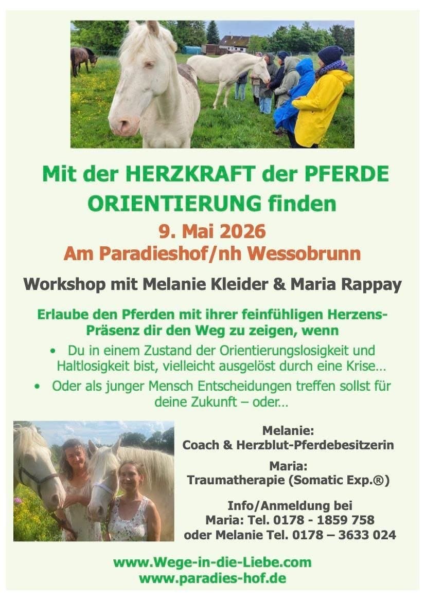 Mit Pferden Orientierung finden