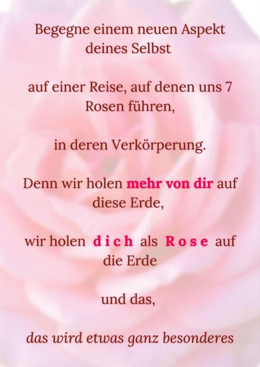 Dein Rosensein – Verkörperungsprozess