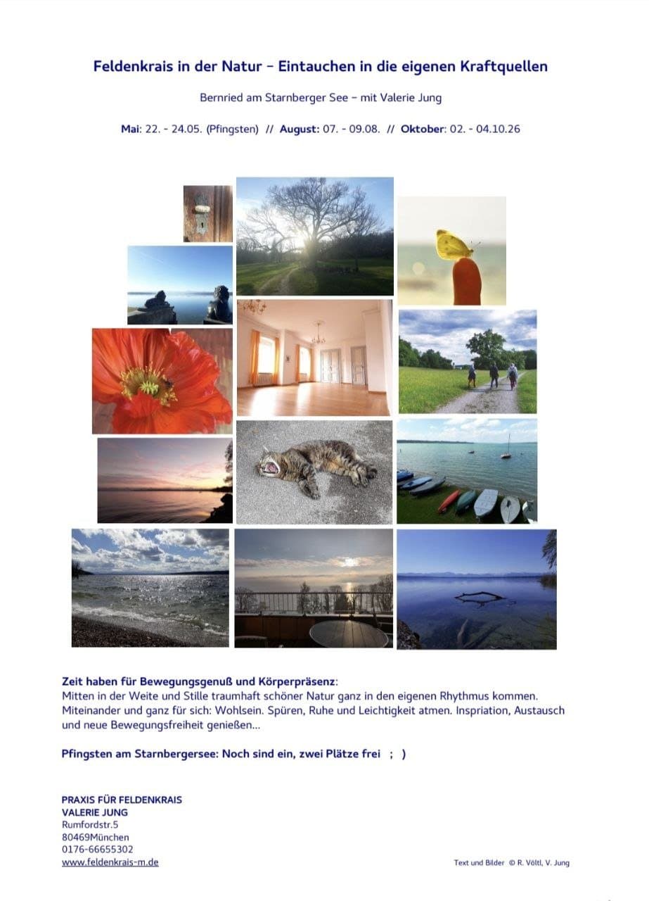 Feldenkrais in der Natur - Oktober